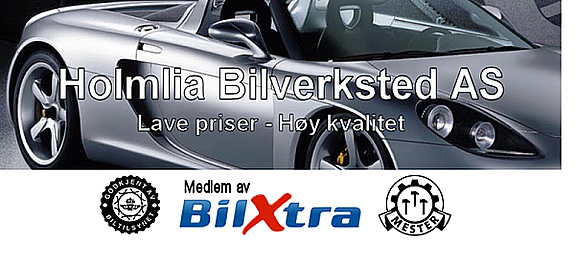 Holmlia bilverksted AS avd.Karihaugen logo