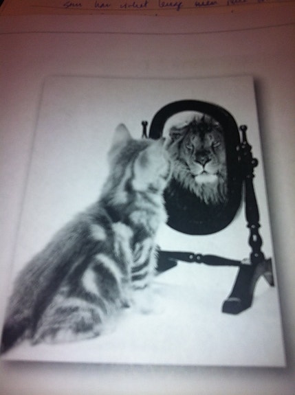 Fleksibilitet - tydelighet - mot - raushet