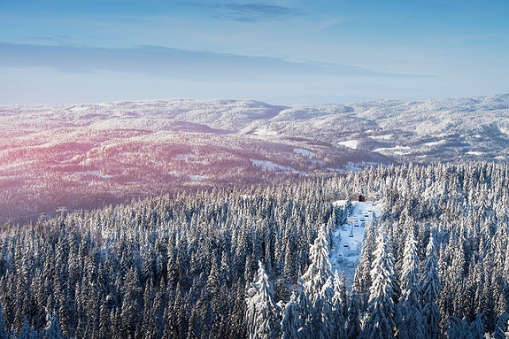 Bilde 1 av 6 i jobbannonse-galleriet