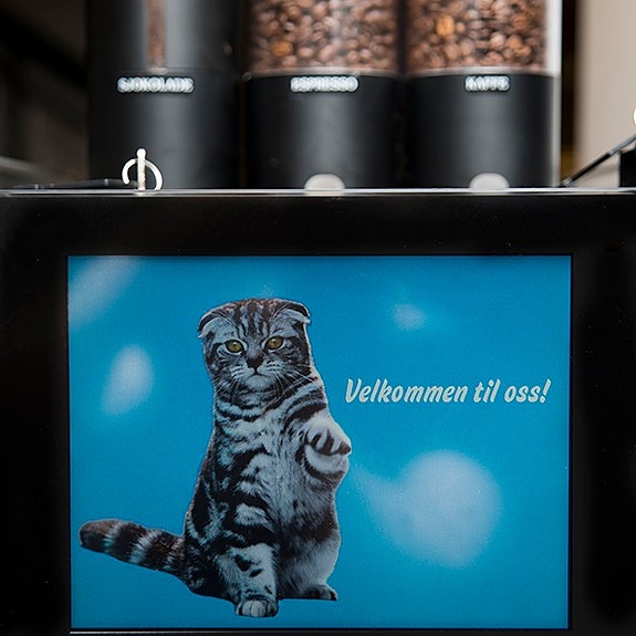 Bilde 1 av 20 i jobbannonse-galleriet