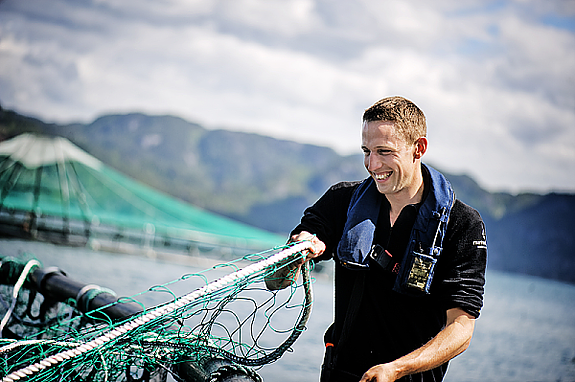 Marine Harvest Norway AS logo