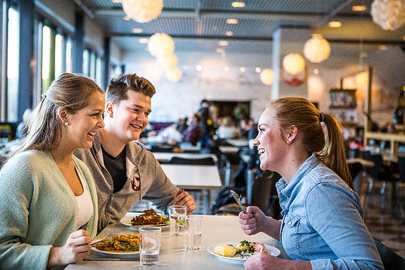 Bilde 4 av 5 i jobbannonse-galleriet