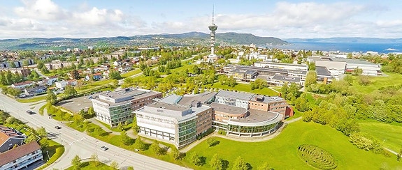 Bilde 5 av 13 i jobbannonse-galleriet