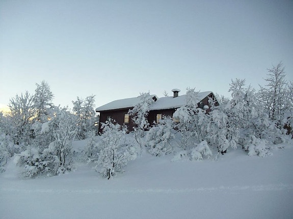 Koselig hytte beliggenhet ved Leite/Jonshøgdi. Utleie periode desember til april