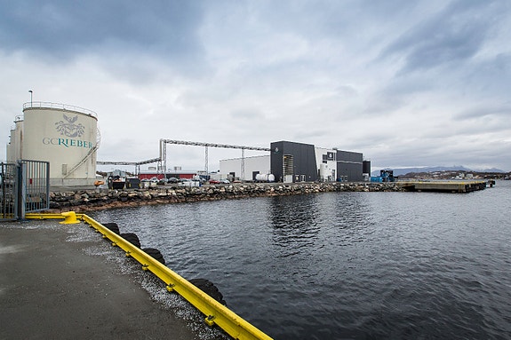 Bilde 1 av 5 i jobbannonse-galleriet