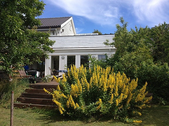 Stor have med privat strand