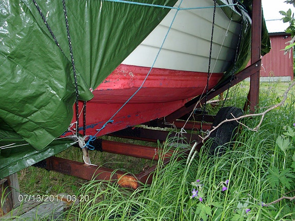 Hortensnekke (Fiskesnekka) rimelig til salgs 4 of 14