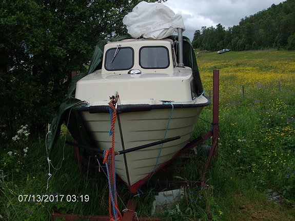 Hortensnekke (Fiskesnekka) rimelig til salgs 1 of 14
