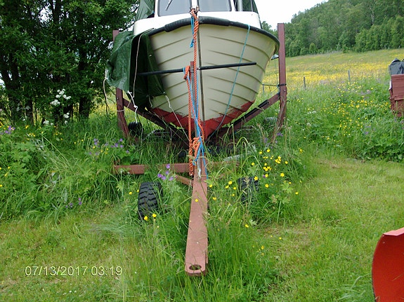 Hortensnekke (Fiskesnekka) rimelig til salgs 2 of 14