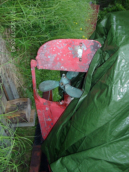 Hortensnekke (Fiskesnekka) rimelig til salgs 12 of 14