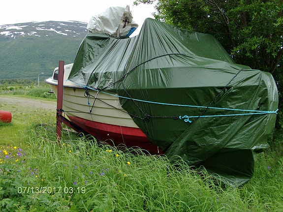 Hortensnekke (Fiskesnekka) rimelig til salgs 3 of 14