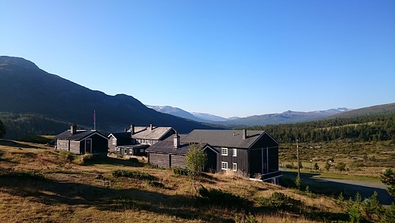 Hindsæter sommer