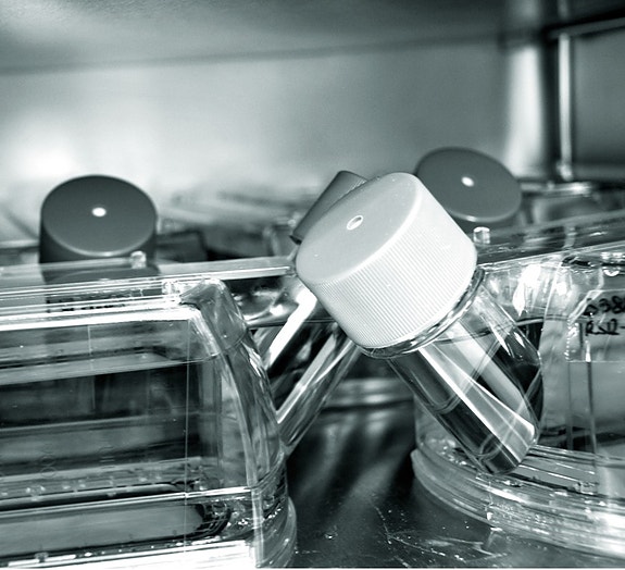 Bilde 1 av 2 i jobbannonse-galleriet