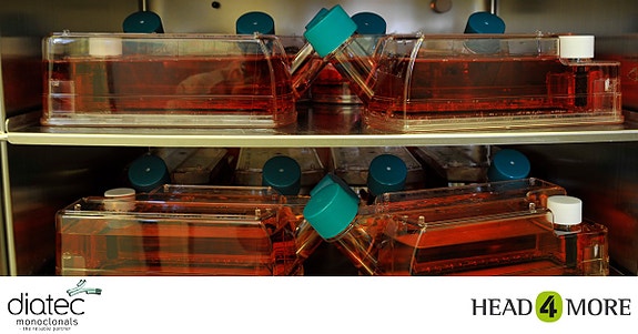 Diatec Monoclonals AS logo