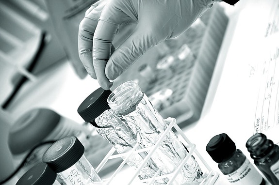 Bilde 2 av 2 i jobbannonse-galleriet