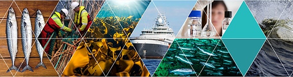 Bilde fra arbeidsgiver