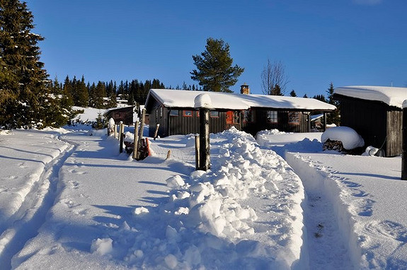 Nordseter i Lillehammer, koselig hytte på stor tomt