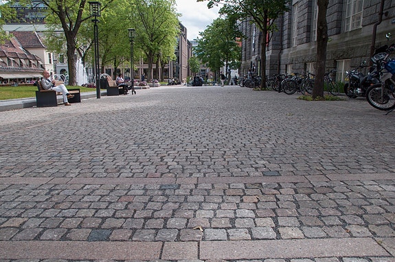 Bilde 12 av 16 i jobbannonse-galleriet