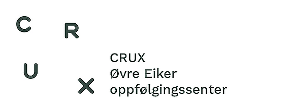 Stiftelsen CRUX logo