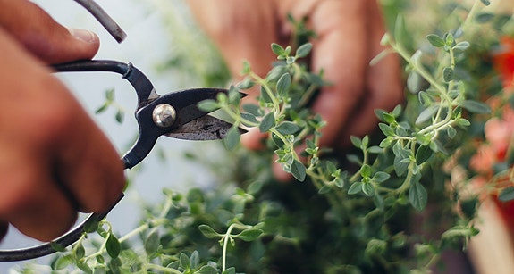 Bilde 11 av 11 i jobbannonse-galleriet