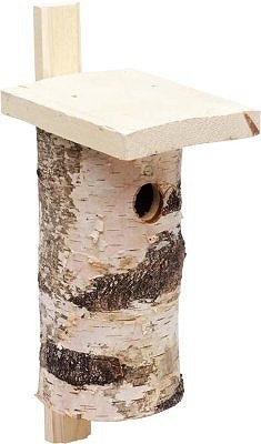 fin til småfugl