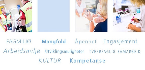 Bilde fra arbeidsgiver