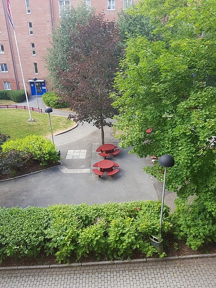utsikt