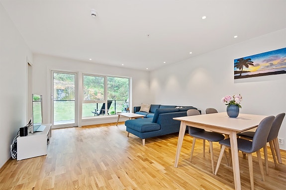 VELKOMMEN TIL VISNING MED FREDRIK TØSDAL !!