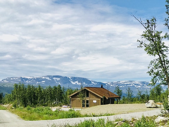 Sommer i høyfjellet.