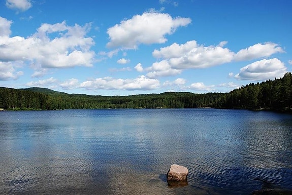 Bedriftens profilbilde