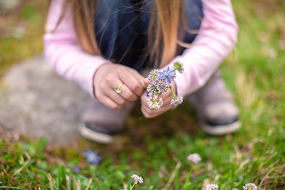 Bilde 1 av 1 i jobbannonse-galleriet