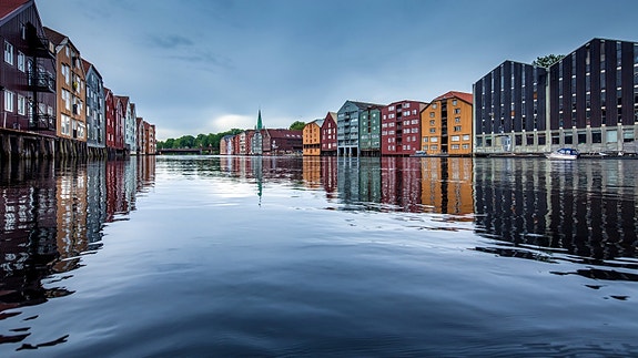 Bilde 1 av 1 i jobbannonse-galleriet