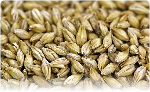 Bilde 3 av 8 i jobbannonse-galleriet