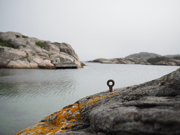 Teknologiutvikling med tean i tanga