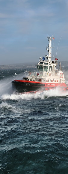 Bilde 1 av 1 i jobbannonse-galleriet