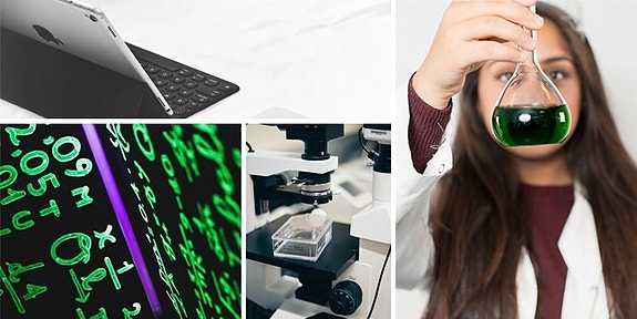 Bilde 5 av 7 i jobbannonse-galleriet