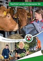 Bilde 1 av 4 i jobbannonse-galleriet