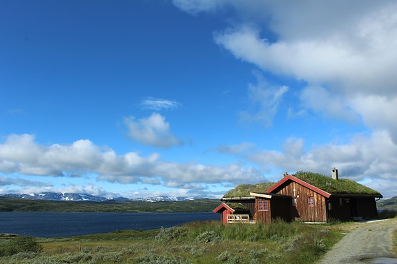 Bilde 2 av 2 i jobbannonse-galleriet