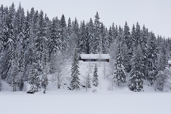 Hytta sett fra vannet