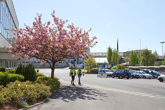 Bilde 1 av 3 i jobbannonse-galleriet