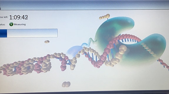 Bilde 2 av 2 i jobbannonse-galleriet