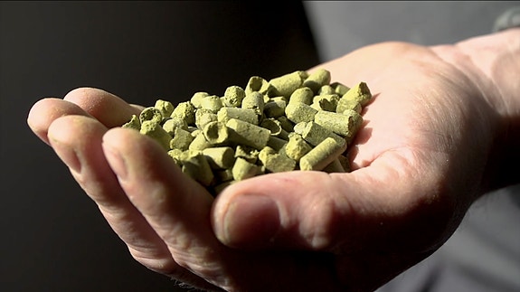 Bilde 3 av 5 i jobbannonse-galleriet