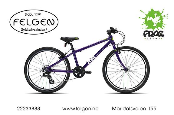 Frog 62 Purple