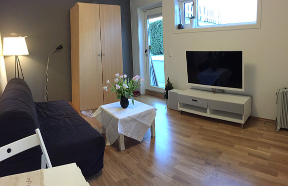 Sofa, TV og TV-benk følger ikke med. - men står en seng nå som kan bli