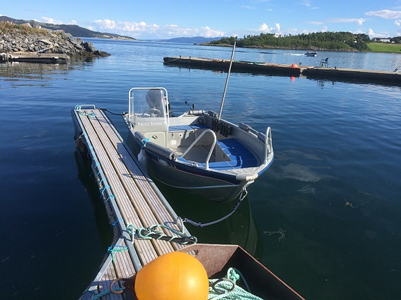 BÅTER TIL LEIE I  LENSVIK.    Fra kr 750,-  pr. dag. 2 of 5