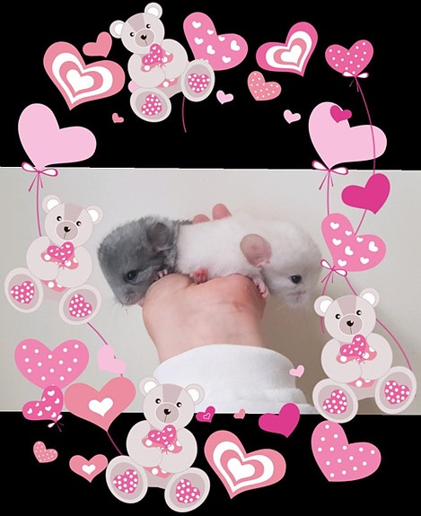 Product image 1 of 10