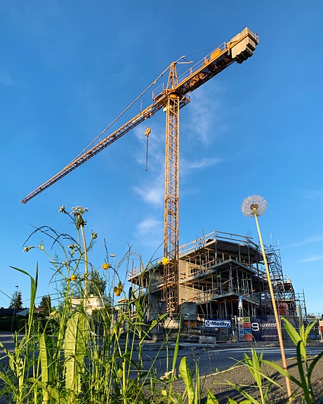 Bilde 1 av 6 i jobbannonse-galleriet