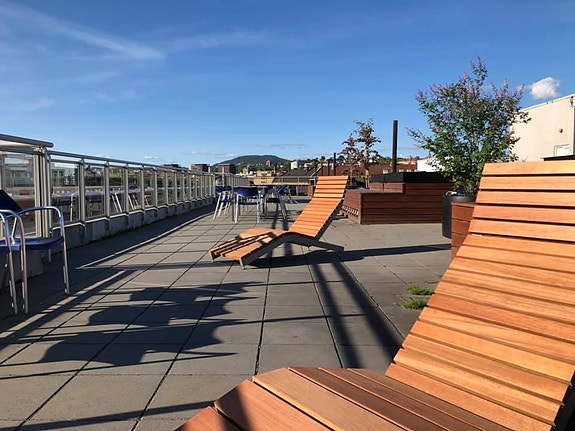Felles takterrasse