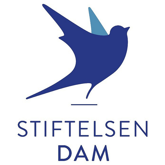 Stiftelsen Dam