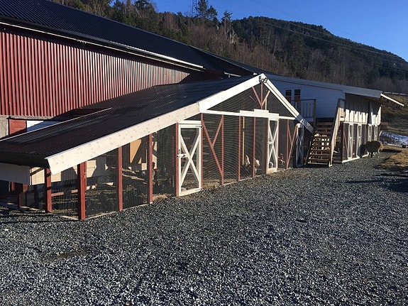 Product image 1 of 6